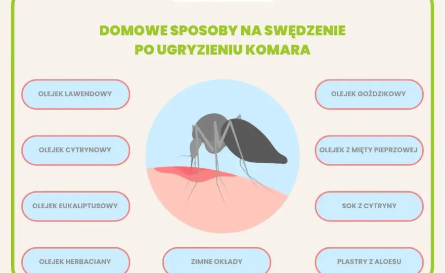 Ugryzienie komara u dziecka - Kiedy reagować, jak pomóc?