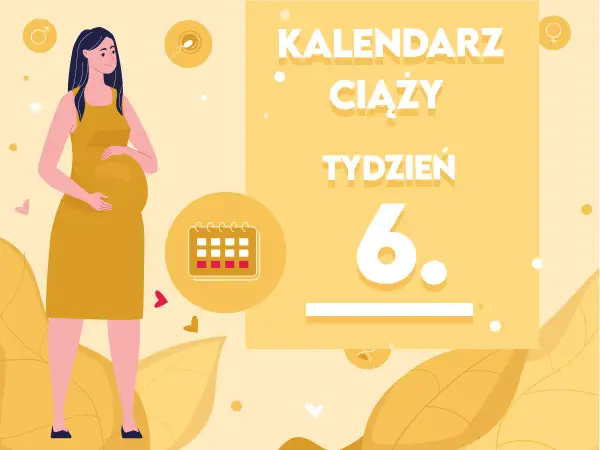 Kiedy zaczyna się 6 miesiąc ciąży? Ilustracja pokazuje ciężarną kobietę i kalendarz ciąży z zaznaczonym 6. tygodniem.